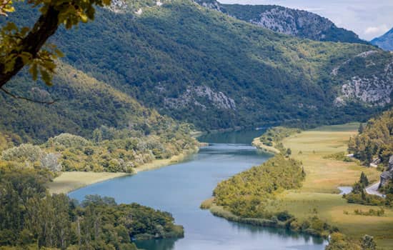 Cetina