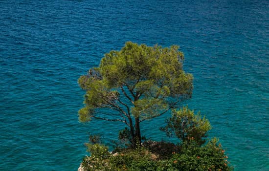 Riviera Omis